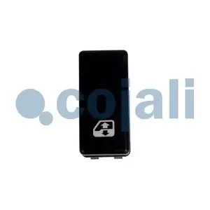 2260928 COJALI