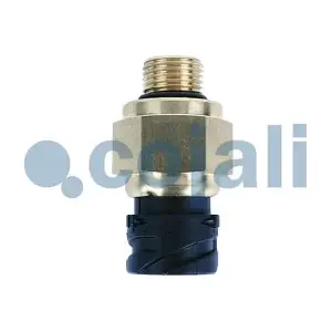2260754 COJALI