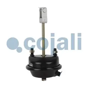 COJALI 2251107