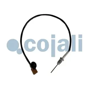 2262028 COJALI