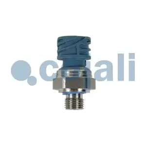 2260979 COJALI