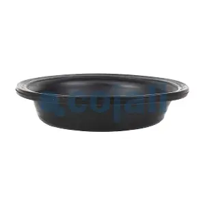 6001119 COJALI