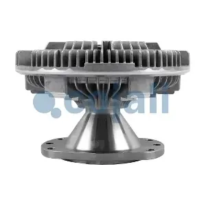 7043137 COJALI