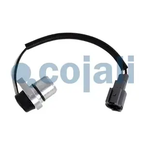 2263007 COJALI