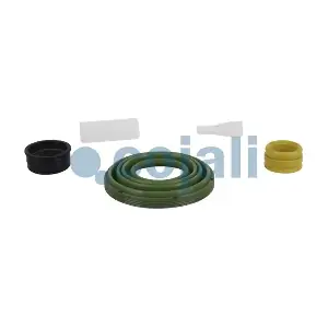 6082021 COJALI