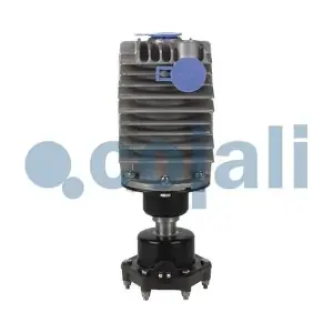 2480004 COJALI