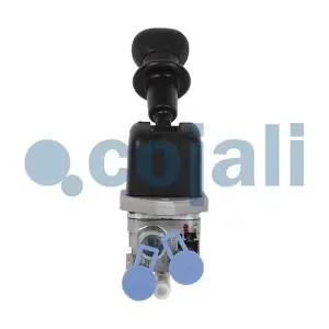 2324403 COJALI
