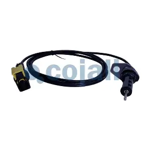 2260021 COJALI