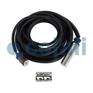 2261096 COJALI