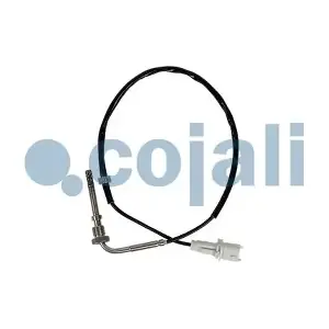 2262018 COJALI