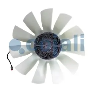 7075407 COJALI