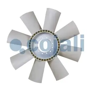 7037113 COJALI