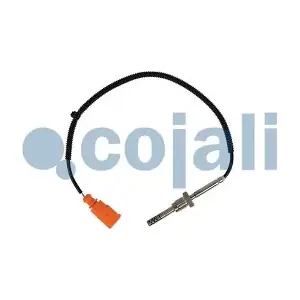 2262027 COJALI