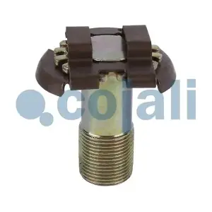 6072001 COJALI