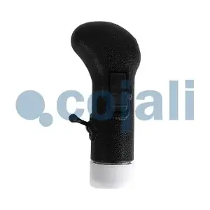 2880272 COJALI