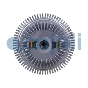 8137108 COJALI
