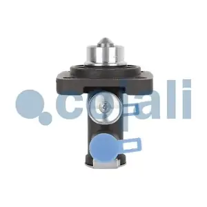 2880239 COJALI