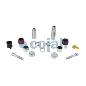 6083009 COJALI