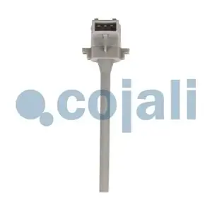 2260397 COJALI