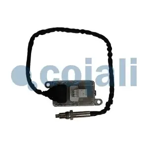 2269095 COJALI