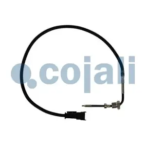 2260892 COJALI