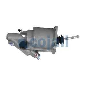 2550900 COJALI