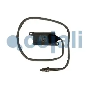 COJALI 2269089