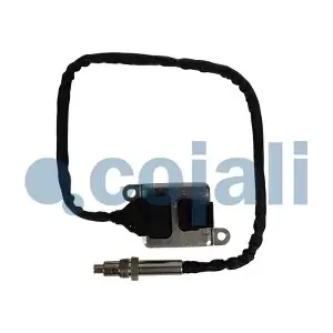 2269103 COJALI