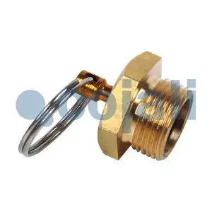COJALI 2208400