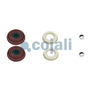 COJALI 6084001