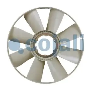7037131 COJALI