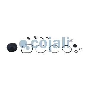 6012004 COJALI