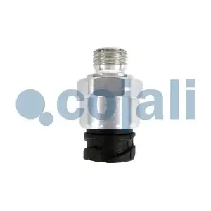 2260730 COJALI