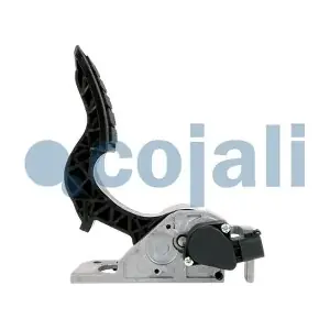 2260500 COJALI