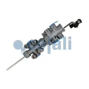 00190073 DAF