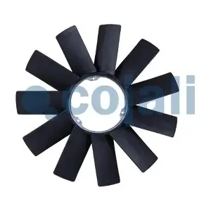 8111607 COJALI