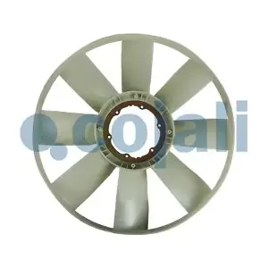 7037136 COJALI