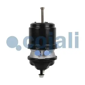2251537 COJALI