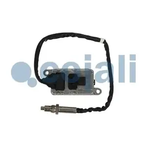2269079 COJALI