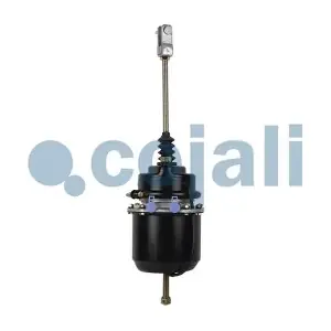 2251415 COJALI