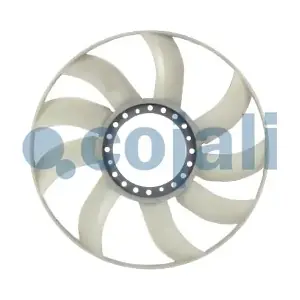 8115611 COJALI