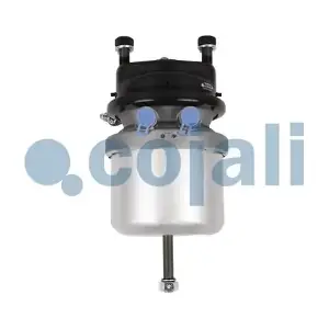 2351309 COJALI