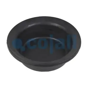 6001113 COJALI