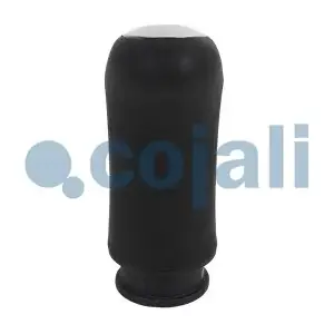 2880156 COJALI