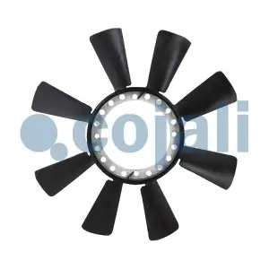 8110601 COJALI