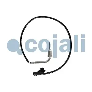 2262025 COJALI