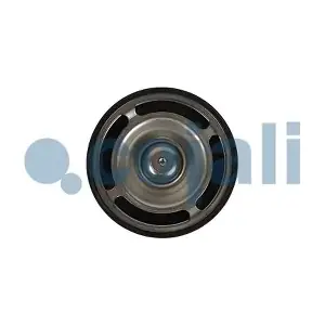 2880274 COJALI
