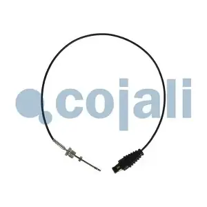 2260898 COJALI