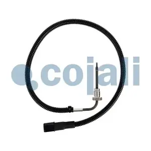 2262660 COJALI