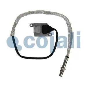 2269068 COJALI